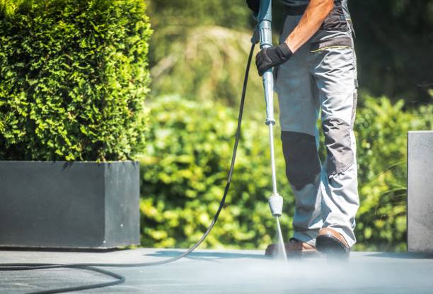 Best Brick and Stone Cleaning in Cross Plains, TX